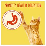 Go Cat Chicken Duck Dry Cat Food 10kg